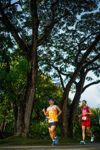 BIB: 
                            <button type="button" onclick="openModal(26551521)" class="btn btn-primary btn-sm float-right btn-popup" data-toggle="modal" data-target=".modal-high-quality">
                        <i class="fas fa-shopping-cart"></i> Add to Cart
                    </button>
                                            <button type="button" onclick="isThisMe(26551521, true)" class="btn btn-success btn-sm float-right btn-popup btn-isme hidden" data-toggle="tooltip" data-placement="bottom" title="นี่คือรูปของคุณใช่ไหม คลิกที่นี่เพื่อเอาเข้าอัลบั้ม">
                        <i class="fas fa-plus"></i> Add to album
                    </button>
                    <button type="button" onclick="isThisMe(26551521, false)" class="btn btn-warning btn-sm float-right btn-popup btn-isnotme hidden">
                        <i class="fas fa-ban"></i> Remove from album
                    </button>